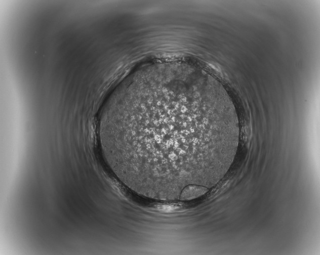 X0000085300662200703161435