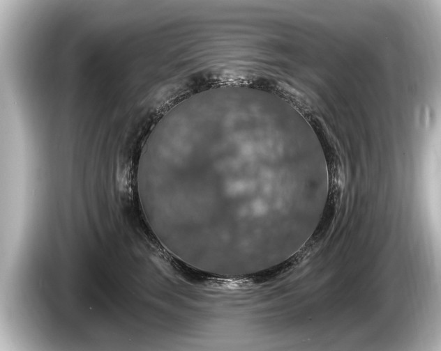 X0000085300663200703161435