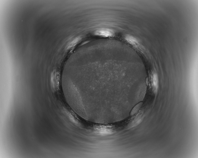 X0000085300664200703161435