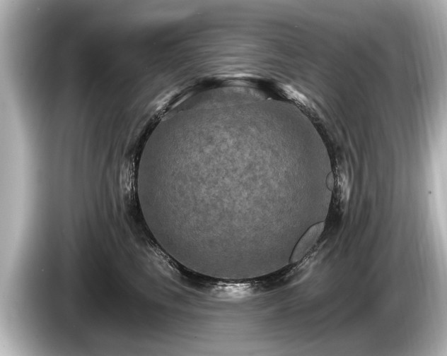 X0000085300665200703161435