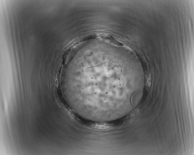 X0000085300666200703161435