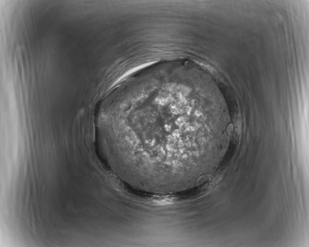 X0000085300667200703161435