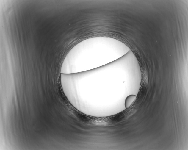 X0000085300668200703161435