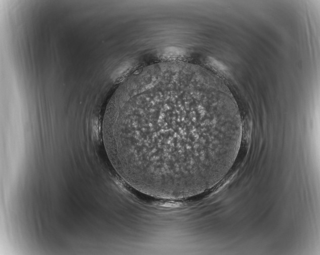 X0000085300669200703161435