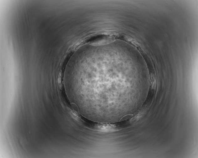 X0000085300670200703161435