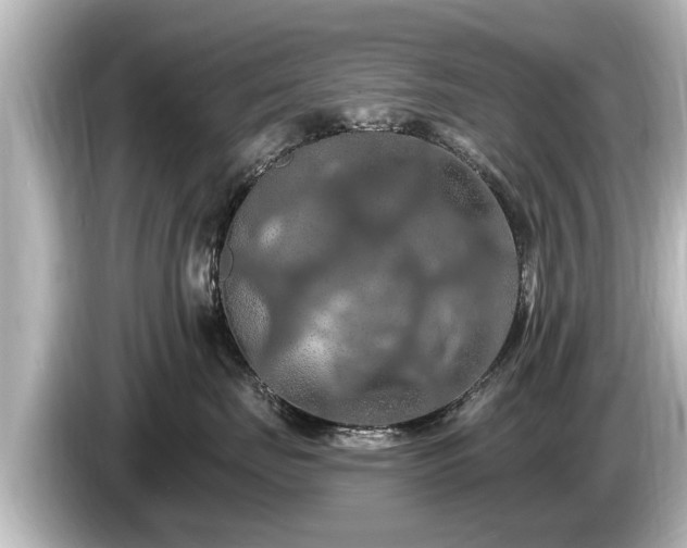 X0000085300671200703161435