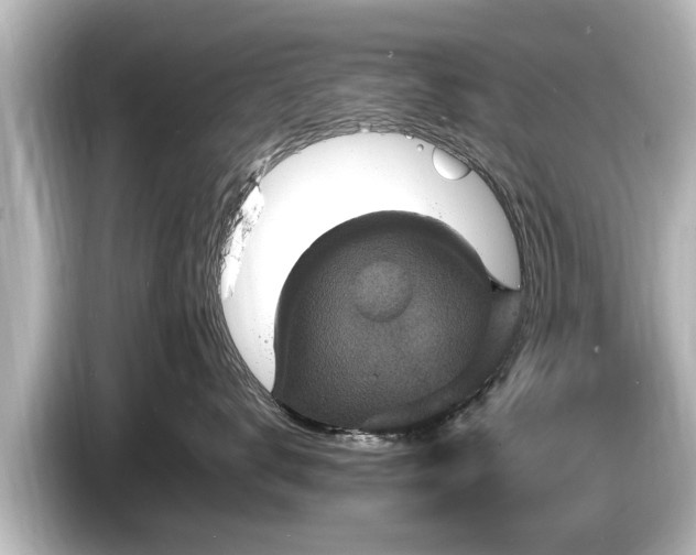 X0000085300672200703161435