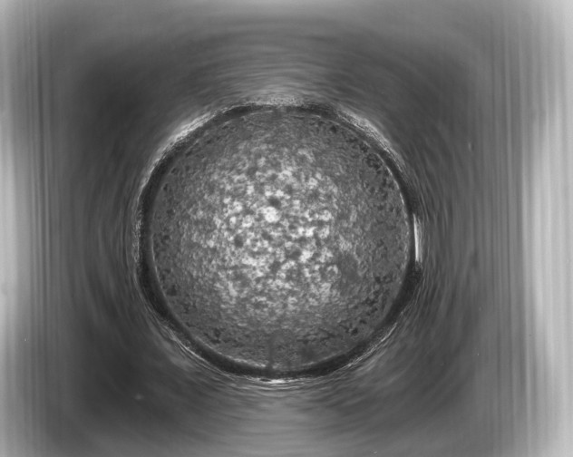 X0000085300675200703161434