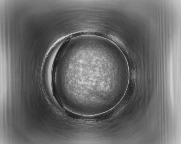 X0000085300676200703161434