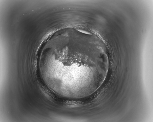 X0000085300679200703161434