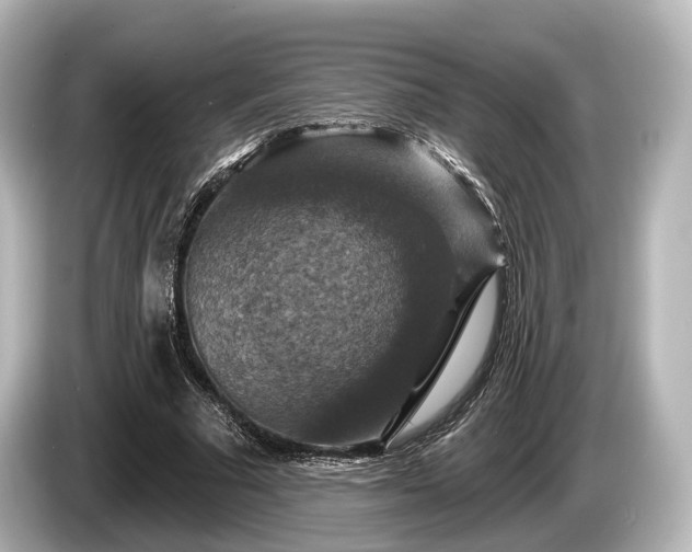 X0000085300681200703161434