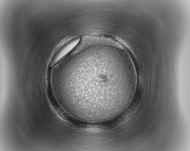 X0000085300682200703161434