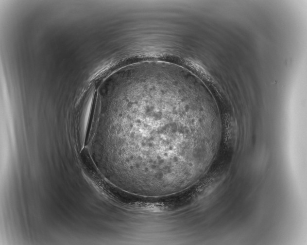 X0000085300683200703161434