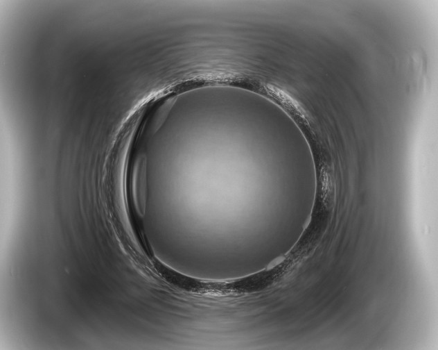 X0000085300684200703161434