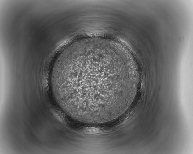 X0000085300687200703161434