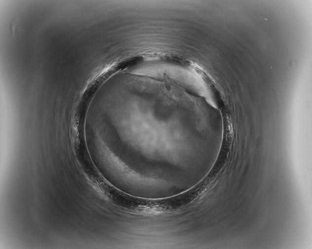 X0000085300688200703161434