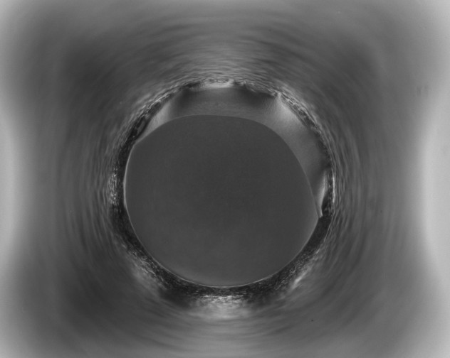 X0000085300689200703161434