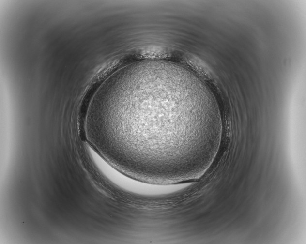 X0000085300690200703161434