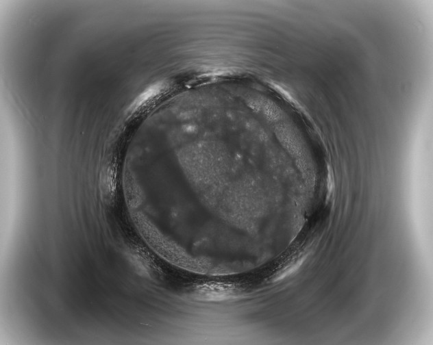 X0000085300691200703161434