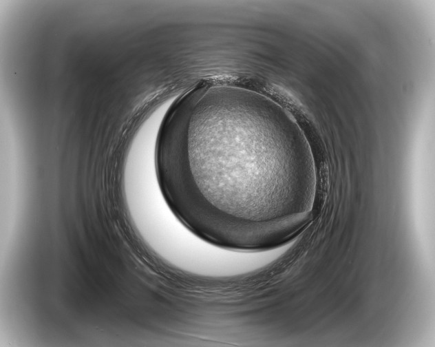 X0000085300692200703161434