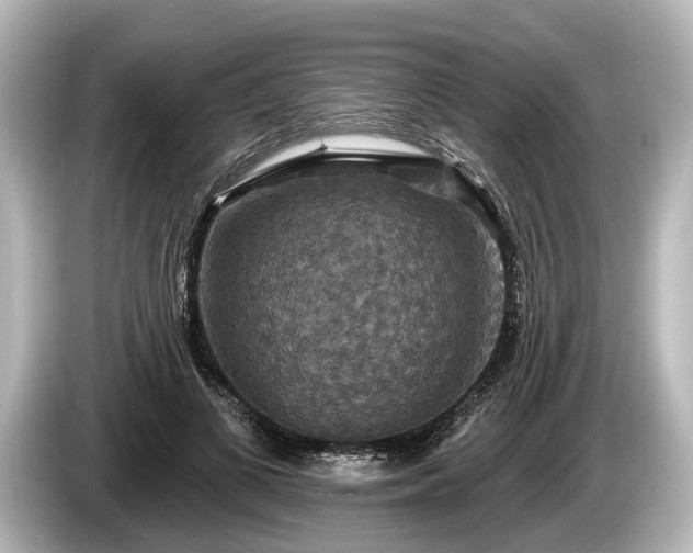 X0000085300693200703161434