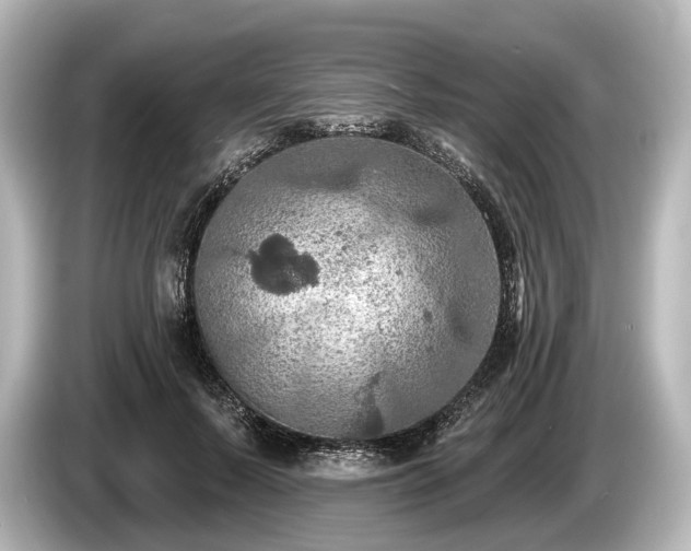 X0000085300695200703161434