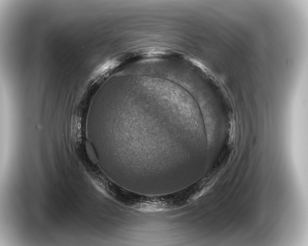 X0000085300696200703161434