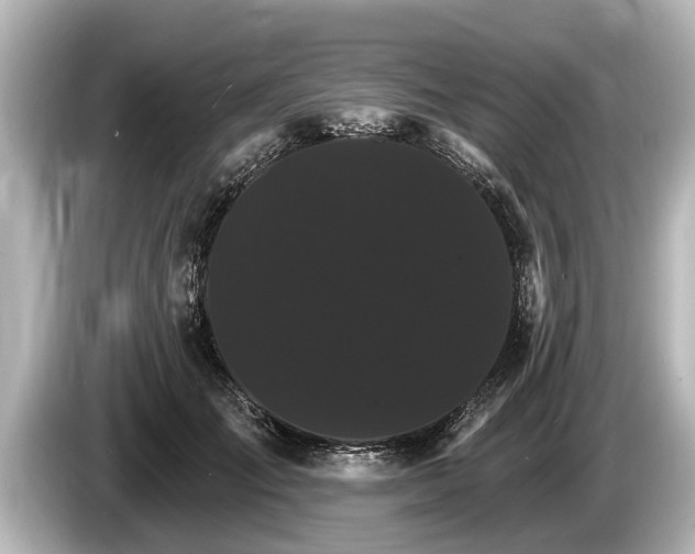 X0000085300701200703161434