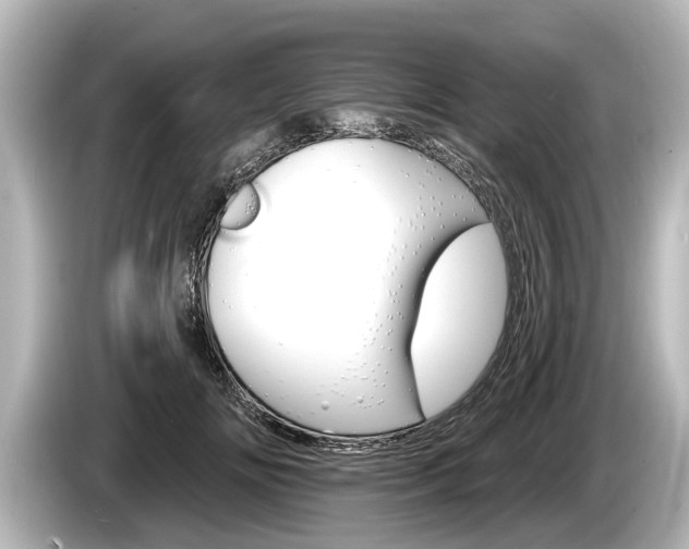 X0000085300702200703161434