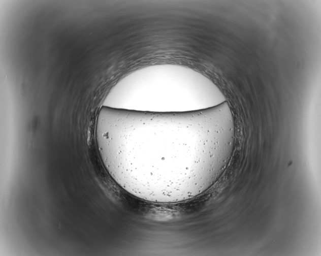 X0000085300703200703161434