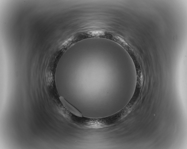 X0000085300704200703161434