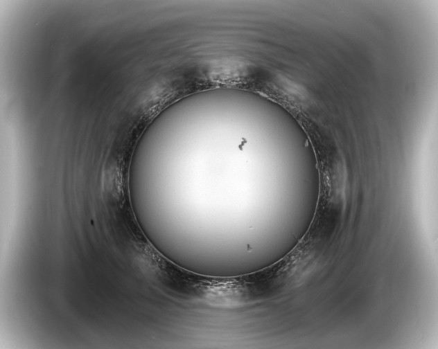 X0000085300705200703161434