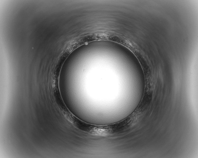 X0000085300706200703161434