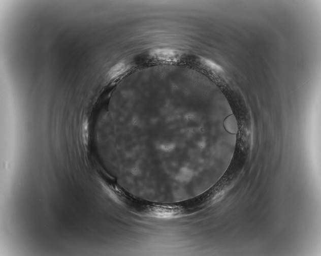 X0000085300707200703161434