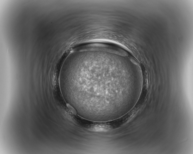 X0000085300708200703161434