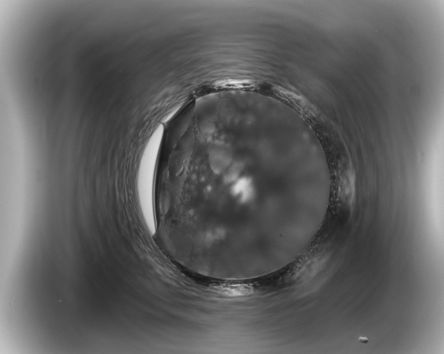 X0000085300711200703161434