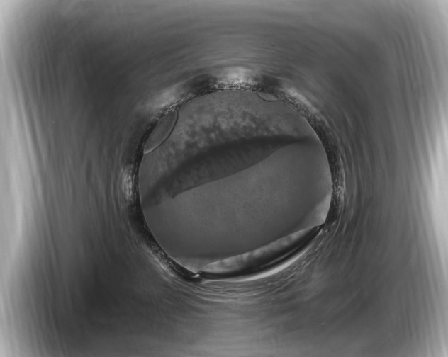 X0000085300715200703161434