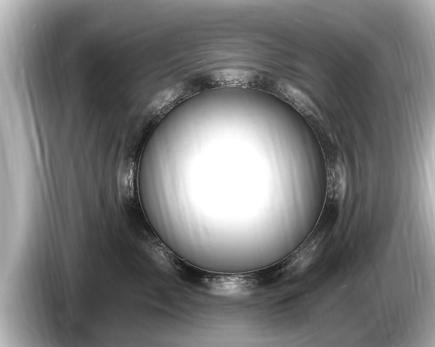 X0000085300717200703161434