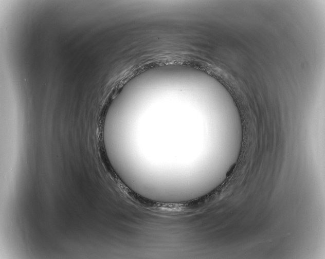 X0000085300720200703161434