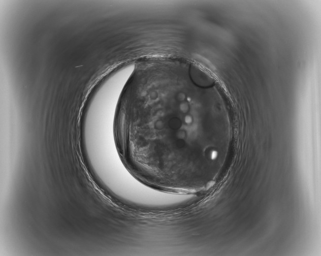 X0000085300721200703161433