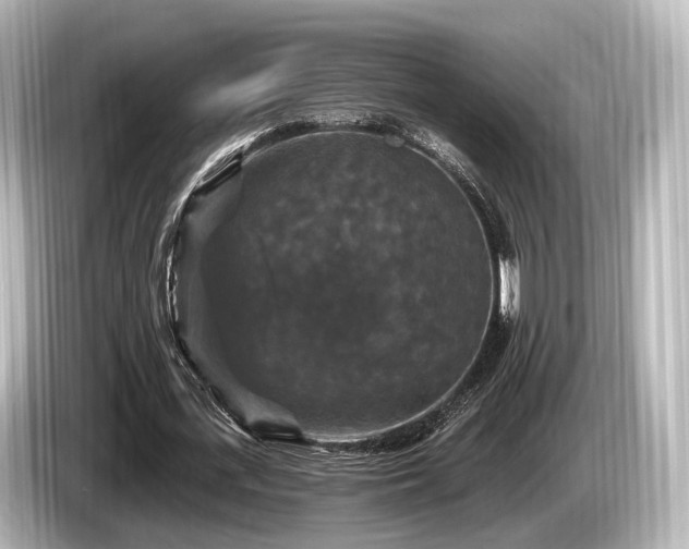 X0000085300723200703161433