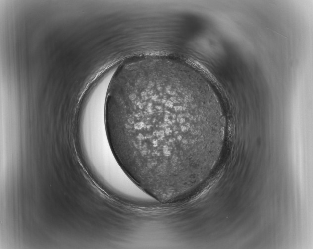 X0000085300725200703161433