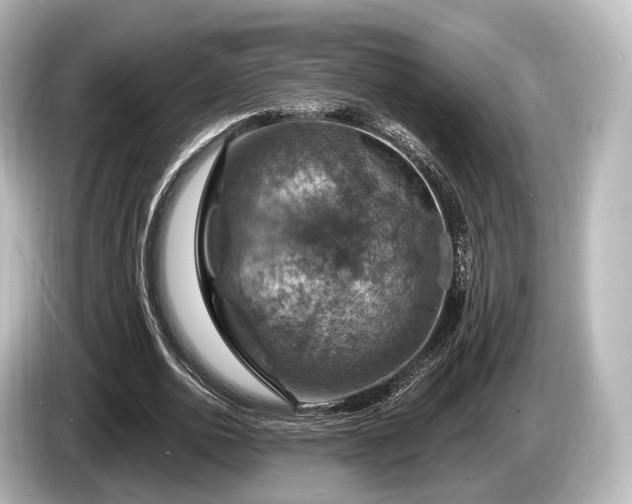 X0000085300726200703161433