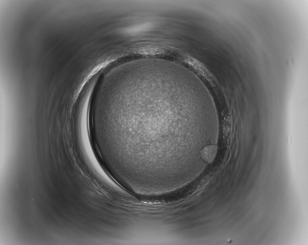 X0000085300727200703161433