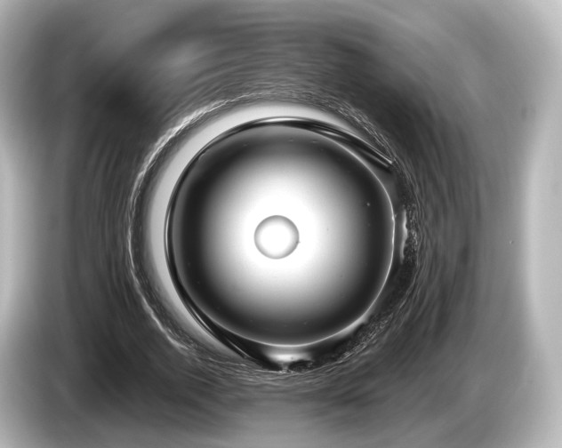 X0000085300728200703161433