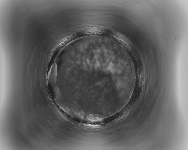 X0000085300729200703161433