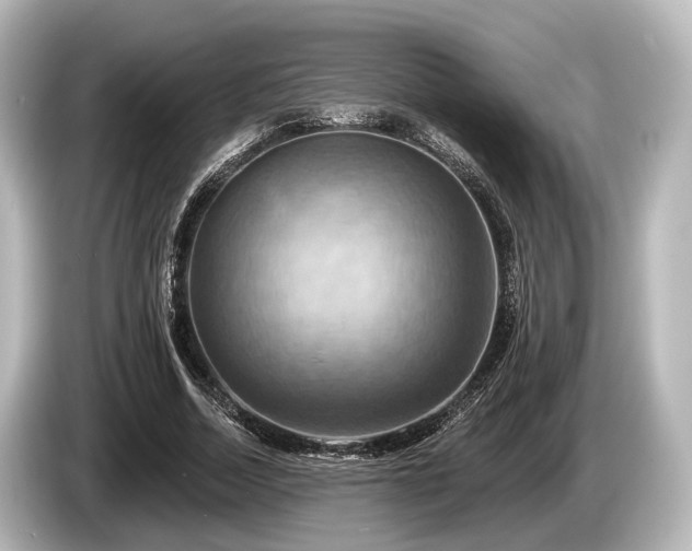 X0000085300730200703161433