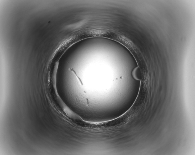 X0000085300731200703161433