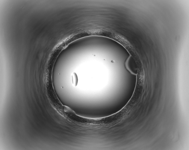 X0000085300732200703161433