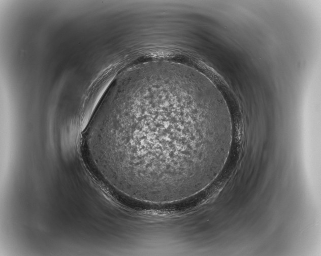 X0000085300733200703161433